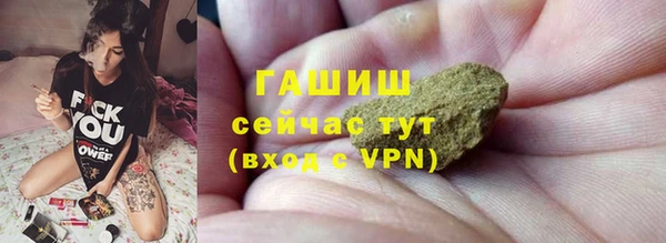 гашик Гусев