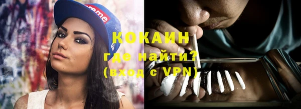 прущие грибы Гусь-Хрустальный