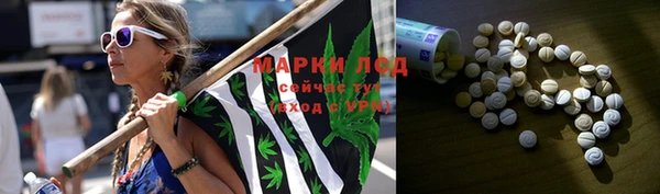 гашик Гусев