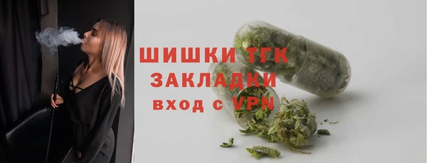 гашик Гусев