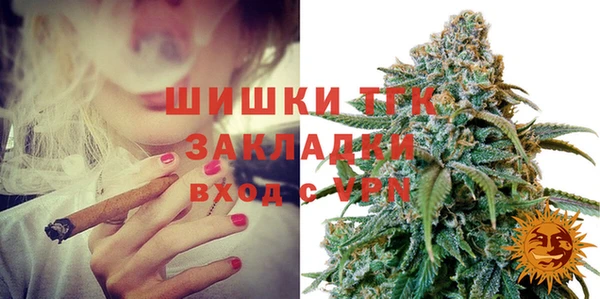 гашик Гусев