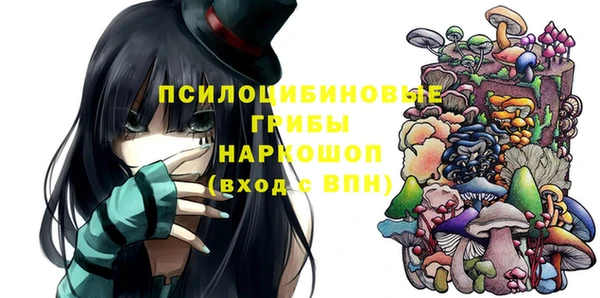 прущие грибы Гусь-Хрустальный