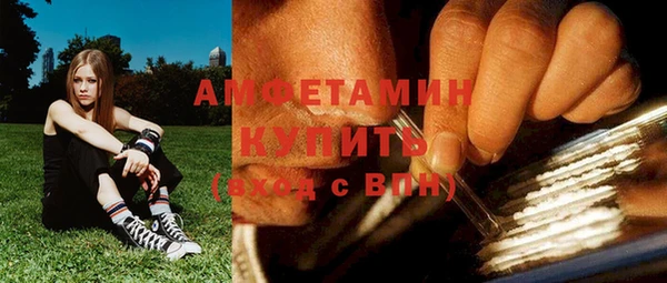 прущие грибы Гусь-Хрустальный