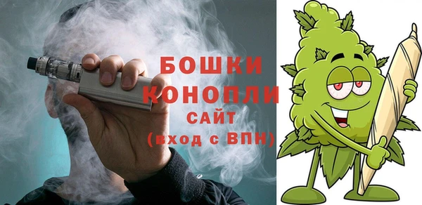 2c-b Дмитриев