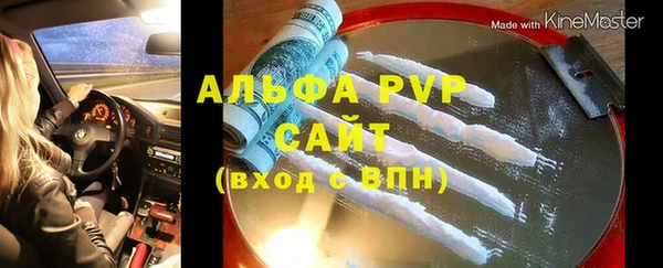 гашик Гусев
