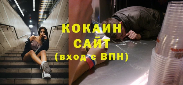 гашик Гусев