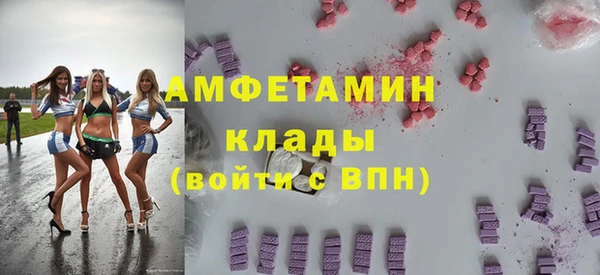 гашик Гусев