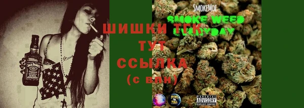 гашик Гусев